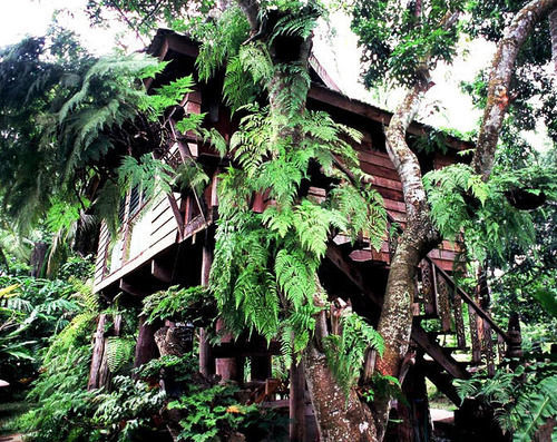 Fern Paradise Chiang Mai Exterior foto